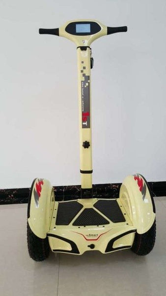 Electric Scooter Two Wheeled Self Balancing Bike Lithium Battery 2*1000W Motor Electric Skateboard with LED Display
