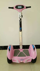 Electric Scooter Two Wheeled Self Balancing Bike Lithium Battery 2*1000W Motor Electric Skateboard with LED Display