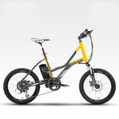 Electric mountain bicycle  Ebike 36v Motorcycle electric bicycle 20 inch lithium mini  Bicycle electric bicycle mountain bike
