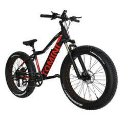 Variable Speed Mountain Bike Li-ion Battery Electric Bike Aluminium Alloy Snow Bike Off-road Bike With Super Broad 4.0 Tyre