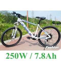 G8 26 inches Hidden Battery Electric Bicycle, 48V 250W/350W, Aluminum Alloy Frame, Disc Brake, 21 Speed E Mountain Bike