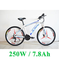 G8 26 inches Hidden Battery Electric Bicycle, 48V 250W/350W, Aluminum Alloy Frame, Disc Brake, 21 Speed E Mountain Bike