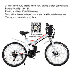 24 inch  48V folding e bike Foldable electric bike for sale, strong power 18A 15A 12A 8A