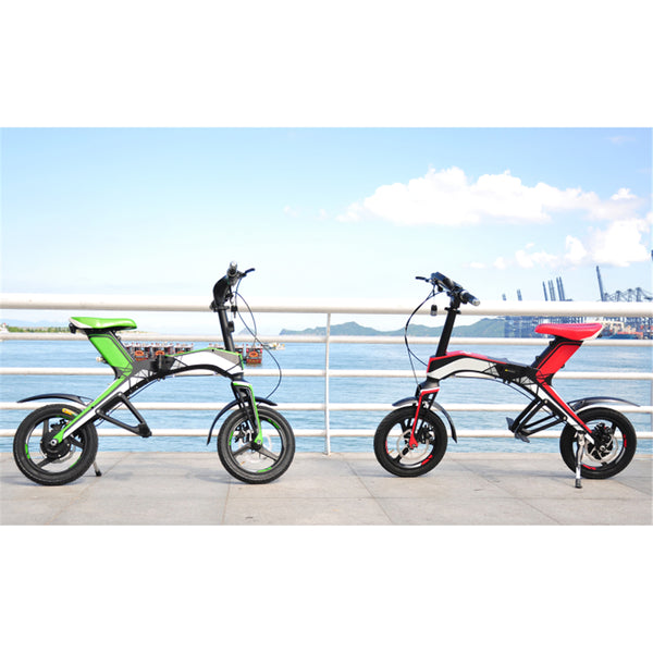 Maxfind 48V300W, 4.4Ah Electric Bike Brushless Folding Electric Bicycle Electric Odometer Powerful Mountain Bike E-bike