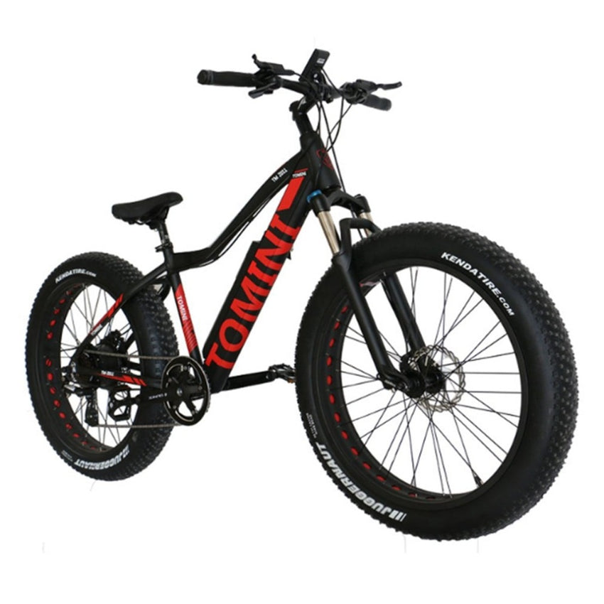 Variable Speed Mountain Bike Li-ion Battery Electric Bike Aluminium Alloy Snow Bike Off-road Bike With Super Broad 4.0 Tyre