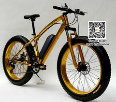 free slow shipping Mountain EBike Road Electric Bicycle 36V 10.4AH 26*4.0 fat tire, snow bike