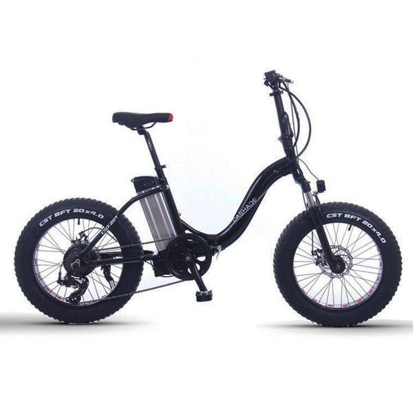 20inch Snow electric bicycle folding fat e-bike 48V lithium battery 350w Swan frame Princess bicycle electric mountian