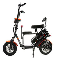 Parenting Electric Bike 48V 250w 16AH